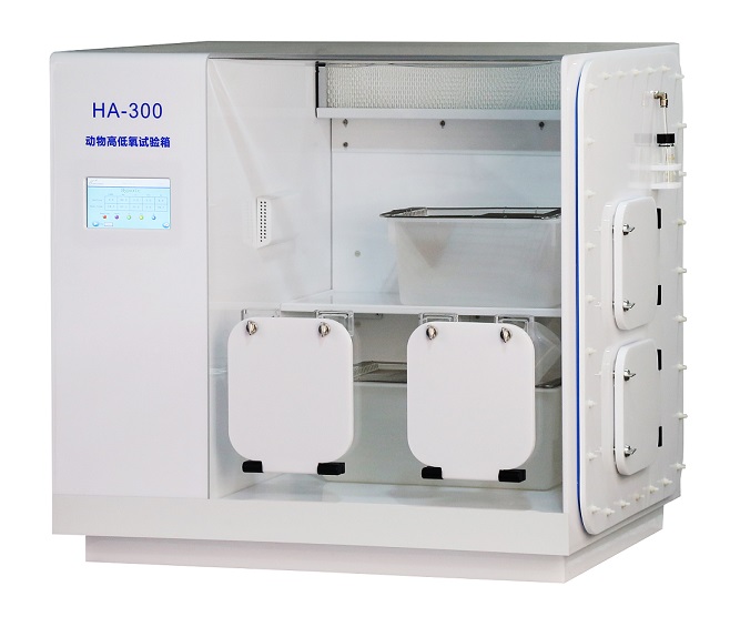 1684976590796085.jpg 01.jpg