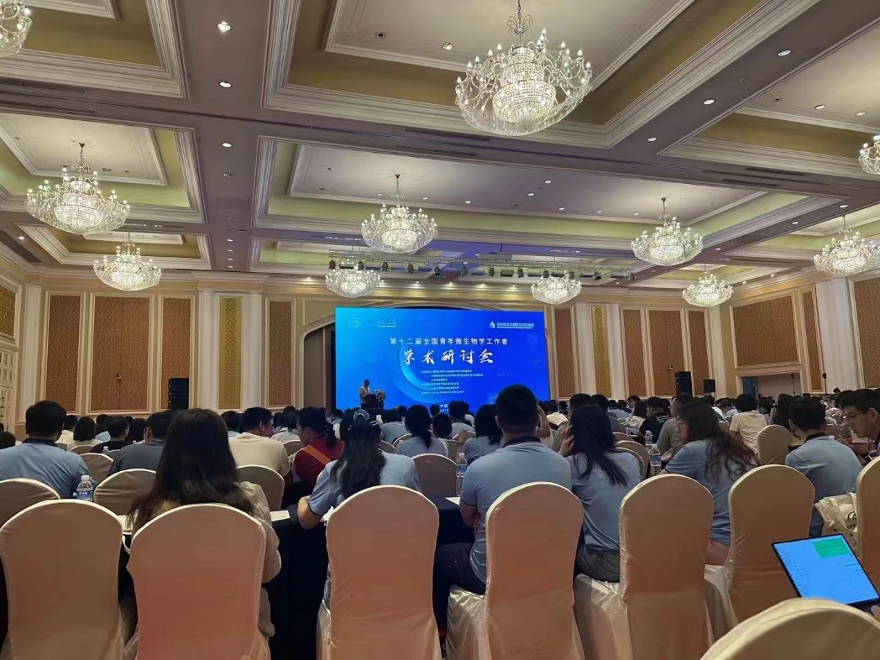 1690337217552479.jpg 17.jpg